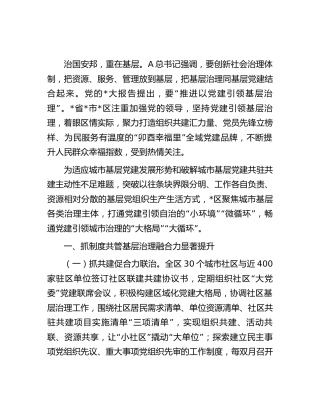 打造全域党建品牌推动城市基层治理工作报告（市）