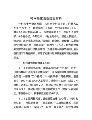 村网格化治理经验总结