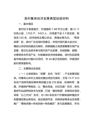 村集体经济发展典型经验
