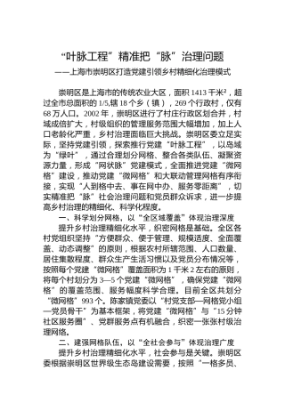“叶脉工程”精准把“脉”治理问题