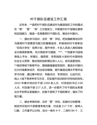 村干部队伍建设工作汇报1
