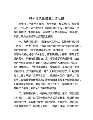 村干部队伍建设工作汇报 (3)