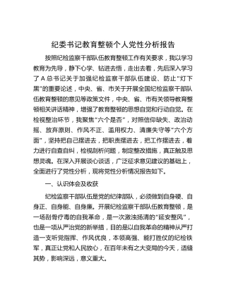 纪委书记教育整顿个人党性分析报告4000字（六方面检视剖析）