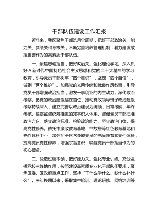 干部队伍建设工作汇报(2)