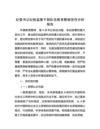 纪委书记纪检监察干部队伍教育整顿党性分析报告7100字（五方面个人检视剖析）
