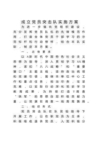成立党员突击队实施方案