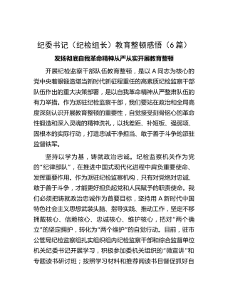 纪委书记（纪检组长）教育整顿研讨发言6篇（简短版）
