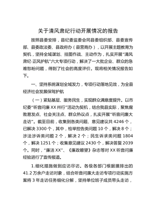 纪委监委清风肃纪行动开展情况总结报告4500字