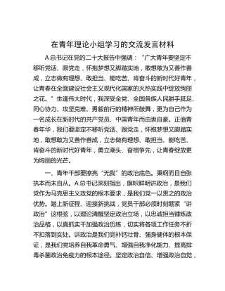 在青年理论小组学习的交流发言材料