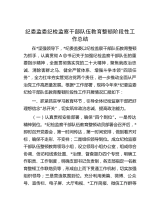 纪委监委纪检监察干部队伍教育整顿阶段性工作总结 (2)