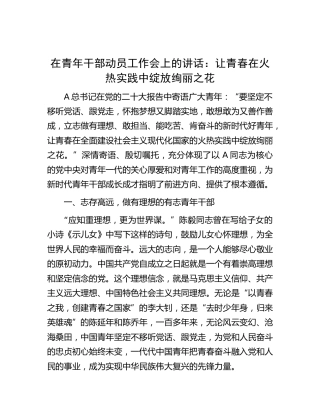 在青年干部动员工作会上的讲话