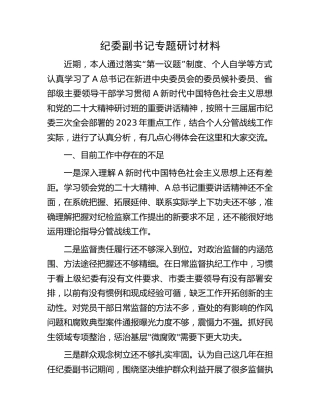 纪委副书记2023年专题研讨发言（个人剖析）