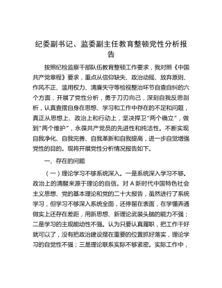纪委副书记、监委副主任教育整顿党性分析报告3200字