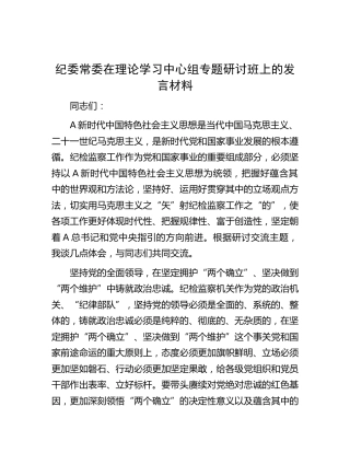 纪委常委中心组专题研讨班上的发言