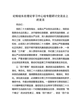 纪检组长在中心组二十大从严治党专题研讨交流会上的发言