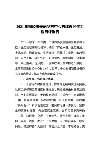 市美丽乡村中心村建设民生工程自评报告