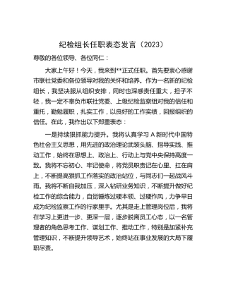 纪检组长任职表态发言