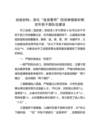 工作经验材料：深化“选育管用”四项举措抓好抓实年轻干部队伍建设