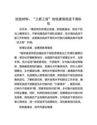 工作经验材料：“三抓三促”培优建强选派干部队伍