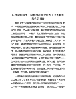 纪检监察组关于监督推动意识形态工作责任制落实的总结报告