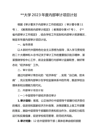 大学2023年度内部审计项目计划（学校）