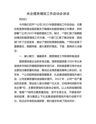 央企公司提质增效工作启动会讲话