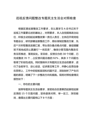 巡视反馈问题整改专题民主生活会个人对照检查