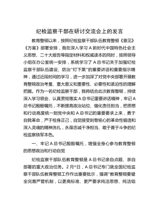 纪检监察干部在教育整顿研讨交流会上的发言2700字