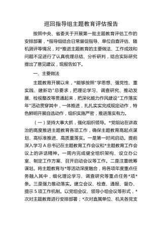 巡回指导组主题教育评估报告（总结4300字）