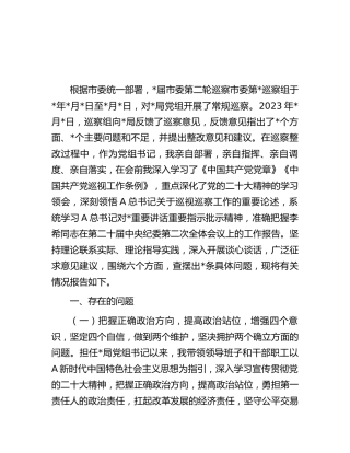 巡察整改专题民主生活会个人对照检查