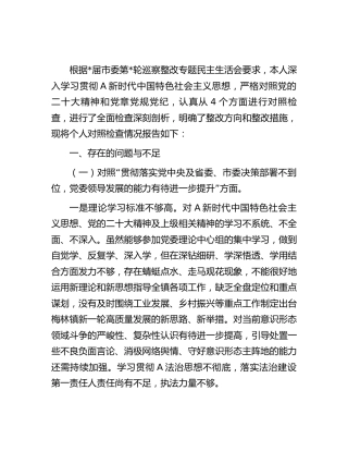巡察整改专题民主生活会个人对照检查（乡镇4300字）