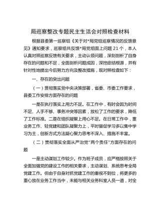 巡察整改专题民主生活会个人对照检查（2）