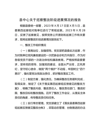 巡察整改阶段进展情况的总结报告