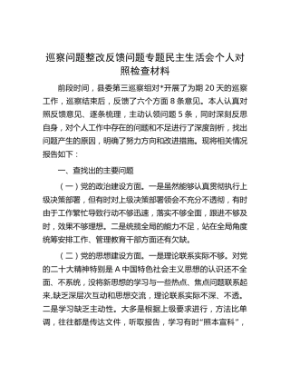 巡察问题整改反馈问题专题民主生活会个人对照检查
