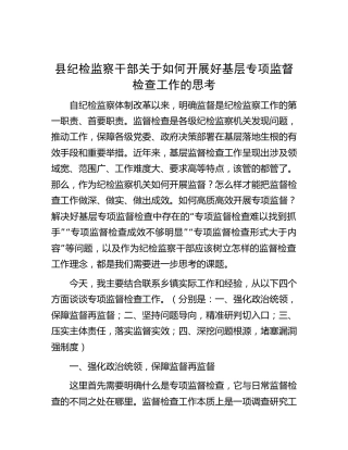 纪检监察干部关于如何开展好基层专项监督检查工作的思考（调研报告参考）