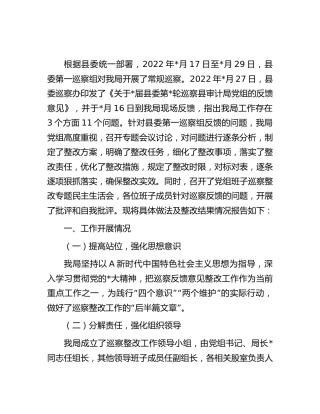 巡察反馈意见的整改情况总结报告（审计6200字）