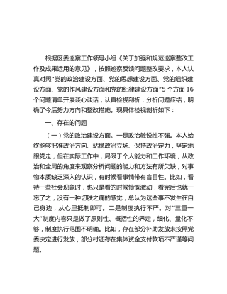 巡察反馈问题整改专民主生活会个人检视剖析