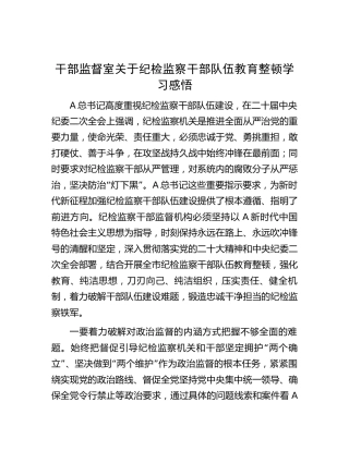 干部监督室纪检监察干部队伍教育整顿学习心得体会3300字（研讨发言）