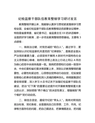 纪检监察干部队伍教育整顿学习研讨发言（公司1100字）
