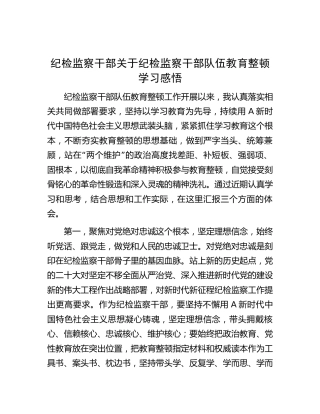 纪检监察干部队伍教育整顿学习心得体会2100字（研讨发言）