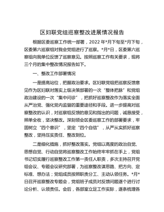 妇联巡察整改进展情况总结报告