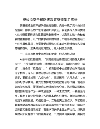 纪检监察干部队伍教育整顿学习心得体会（研讨发言1500字）