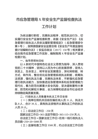 市应急管理局安全生产监督检查执法工作计划(1)