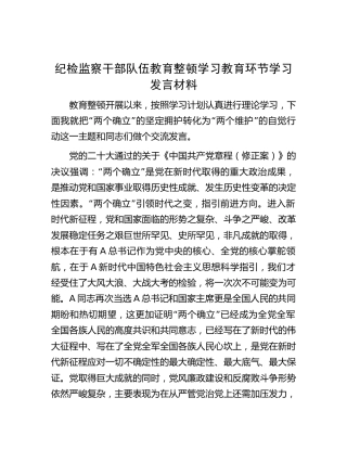 纪检监察干部队伍教育整顿学习教育环节学习研讨发言1700字（两个确立、两个维护）