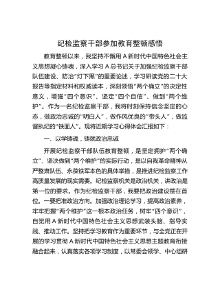 纪检监察干部队伍教育整顿心得体会汇报发言2400字
