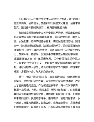 纪检监察干部队伍教育整顿廉政教育研讨发言