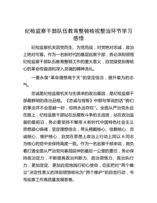 纪检监察干部队伍教育整顿检视整治环节学习心得发言（巡察干部）