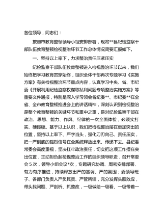 纪检监察干部队伍教育整顿检视整治环节进展情况总结汇报3100字（县区）