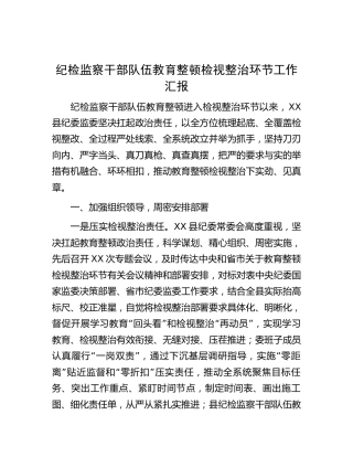 纪检监察干部队伍教育整顿检视整治环节工作总结汇报4500字