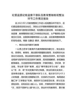 纪检监察干部队伍教育整顿检视整治环节工作情况总结报告2900字（纪委监委）√